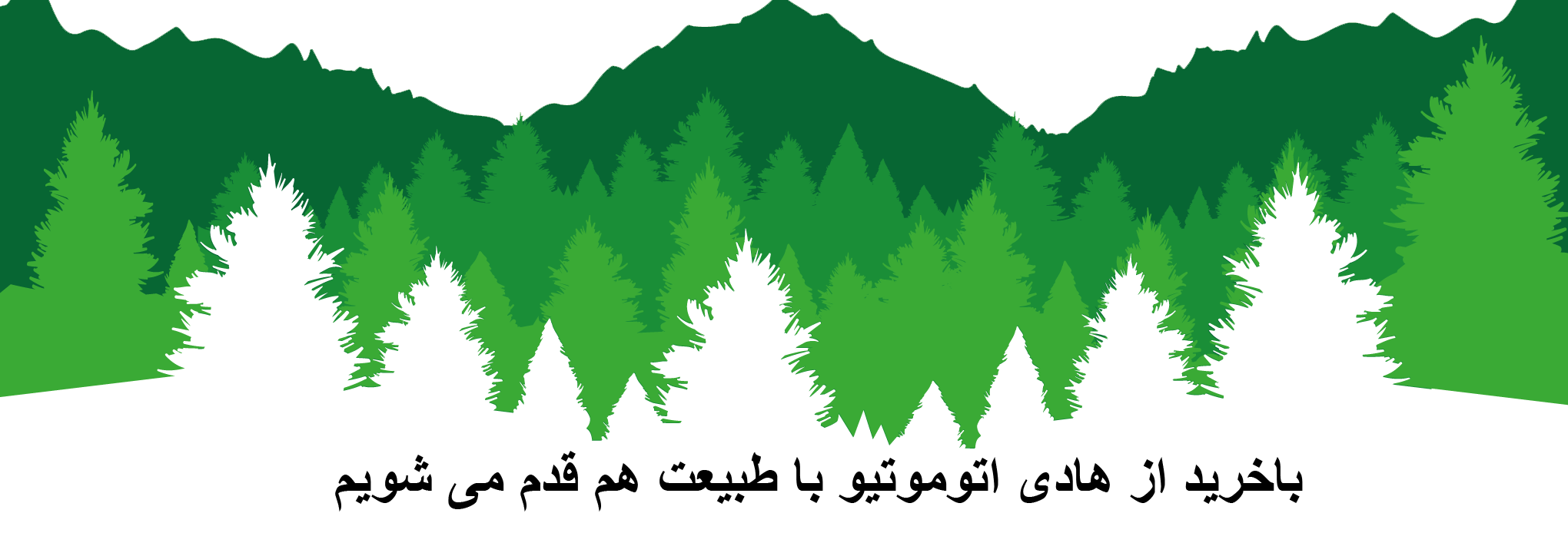 Woods nature